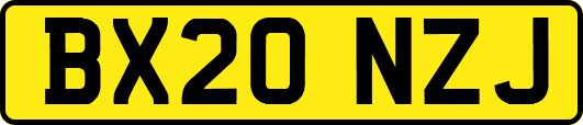 BX20NZJ