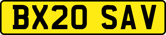 BX20SAV