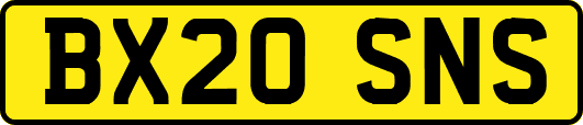 BX20SNS