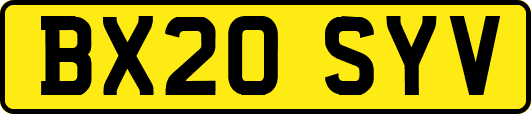 BX20SYV