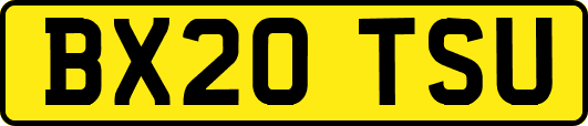 BX20TSU