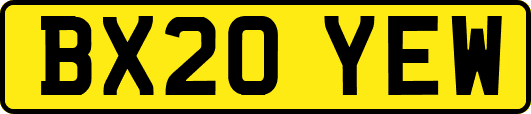 BX20YEW