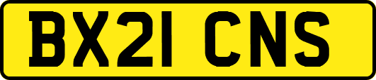 BX21CNS