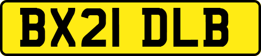 BX21DLB