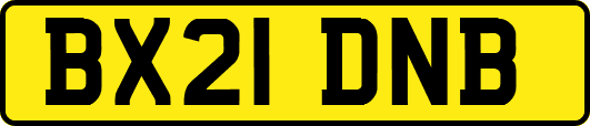 BX21DNB
