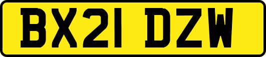 BX21DZW