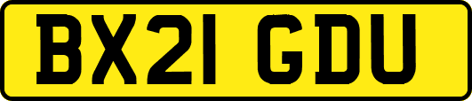 BX21GDU