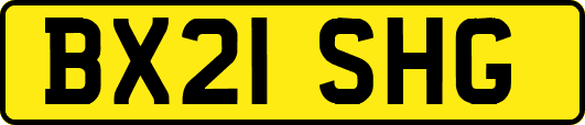 BX21SHG