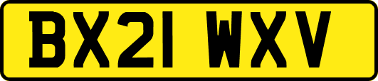 BX21WXV