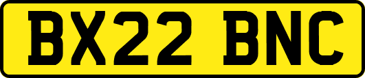 BX22BNC