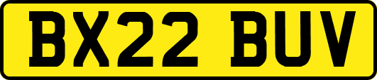 BX22BUV