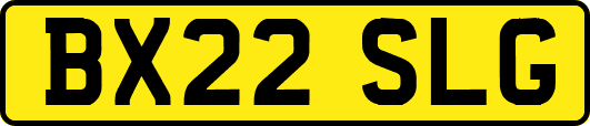 BX22SLG
