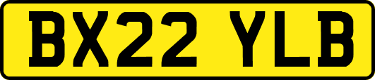 BX22YLB