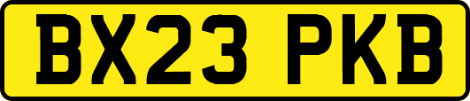 BX23PKB