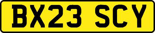 BX23SCY