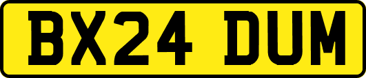 BX24DUM