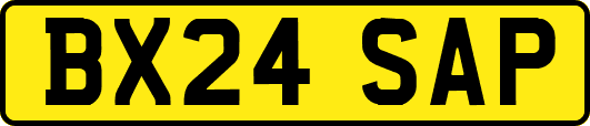 BX24SAP
