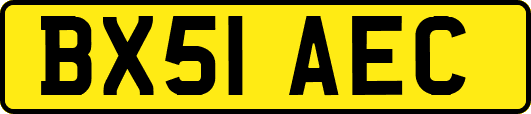 BX51AEC