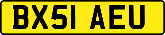 BX51AEU