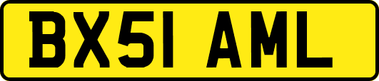 BX51AML