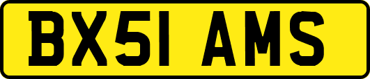 BX51AMS