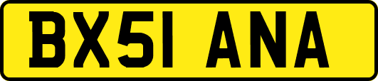 BX51ANA