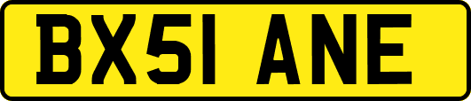 BX51ANE