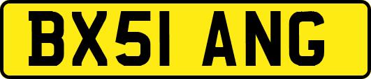 BX51ANG