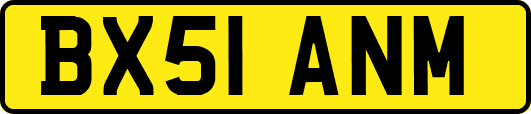 BX51ANM