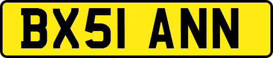 BX51ANN