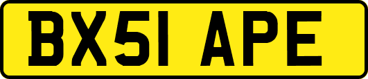 BX51APE