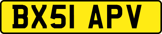 BX51APV