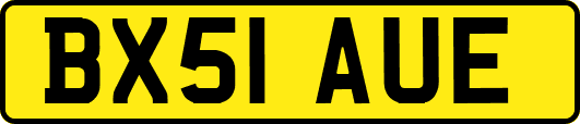 BX51AUE