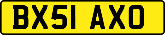 BX51AXO