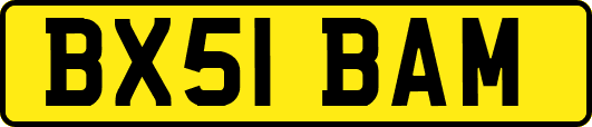 BX51BAM