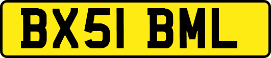 BX51BML