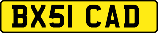 BX51CAD