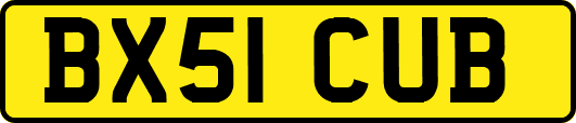 BX51CUB