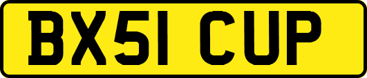 BX51CUP