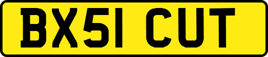 BX51CUT