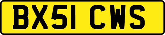 BX51CWS