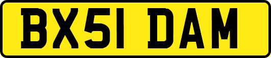 BX51DAM