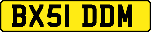 BX51DDM