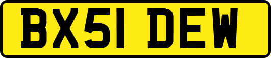 BX51DEW