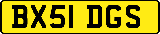 BX51DGS