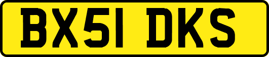 BX51DKS