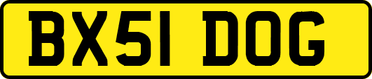 BX51DOG