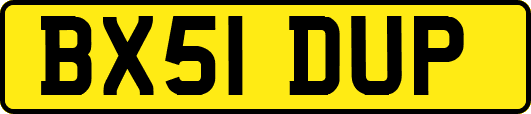 BX51DUP