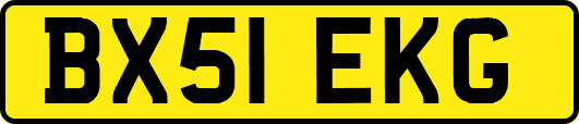 BX51EKG