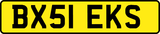 BX51EKS